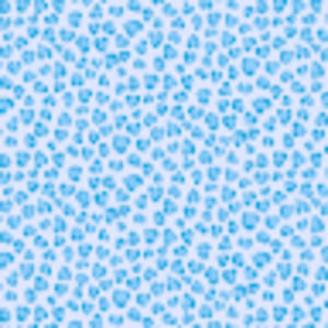 Meet your Posher, Jillian